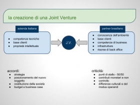 La Joint Venture - 3dConsulenze